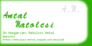 antal matolcsi business card